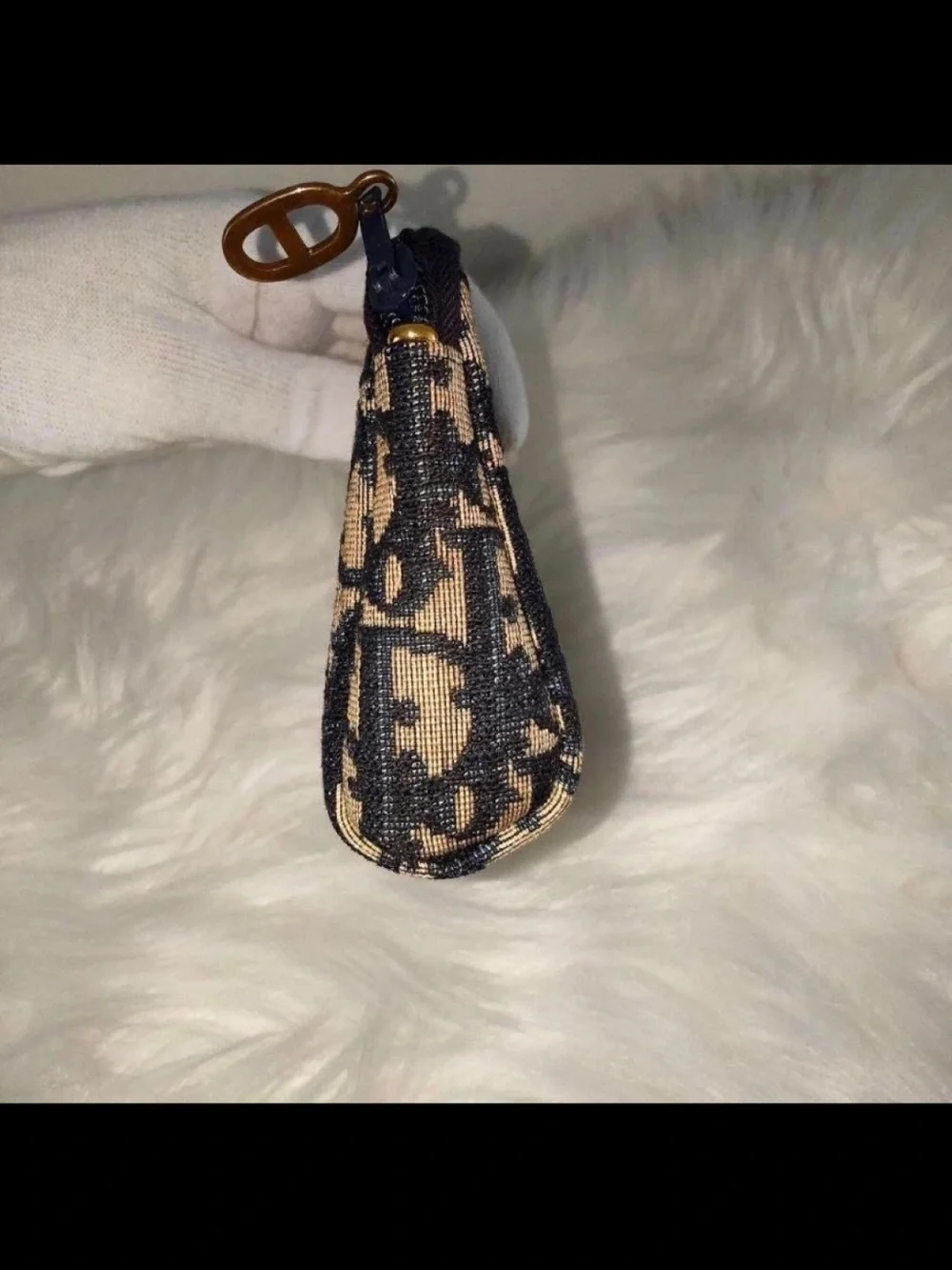 Dior classic monogram